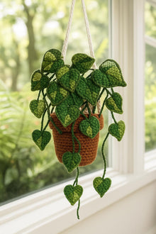 Suspension pothos au crochet - image 1