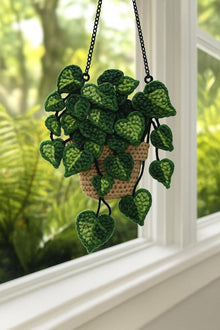 Suspension pothos au crochet - image 2