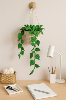 Suspension plante au crochet avec panier macrame - image 3