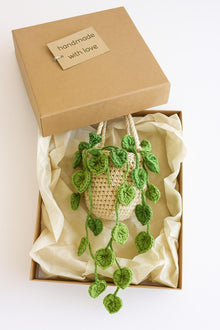 Suspension pothos au crochet avec panier macrame - image 4