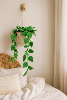 Suspension plante au crochet avec panier macrame - image 5