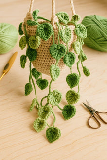 Suspension pothos au crochet avec panier macrame - image 5