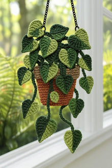 Suspension pothos au crochet - image 6