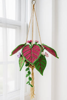 Suspension tropicale au crochet avec panier macrame - image 6