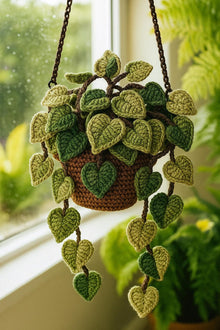 Suspension pothos au crochet - image 7