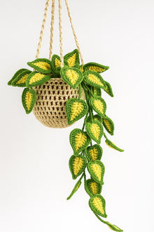 Suspension plante au crochet avec panier macrame - image 7