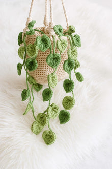 Suspension pothos au crochet avec panier macrame - image 7