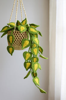 Suspension plante au crochet avec panier macrame - image 9