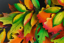 Couronne d'automne en feutrine - image 10